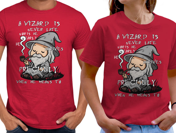 A Wizard Is Never Late