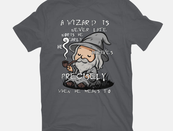 A Wizard Is Never Late