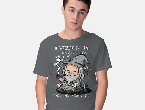 A Wizard Is Never Late