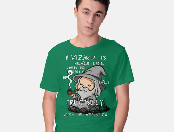A Wizard Is Never Late
