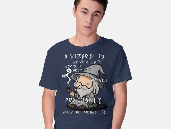A Wizard Is Never Late