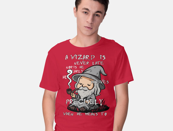A Wizard Is Never Late