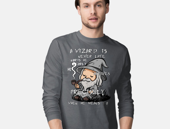 A Wizard Is Never Late