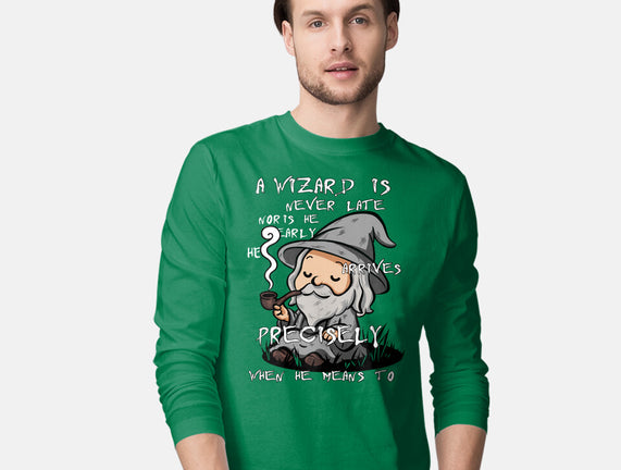 A Wizard Is Never Late
