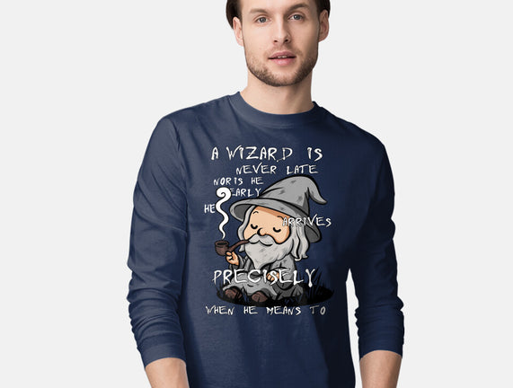 A Wizard Is Never Late
