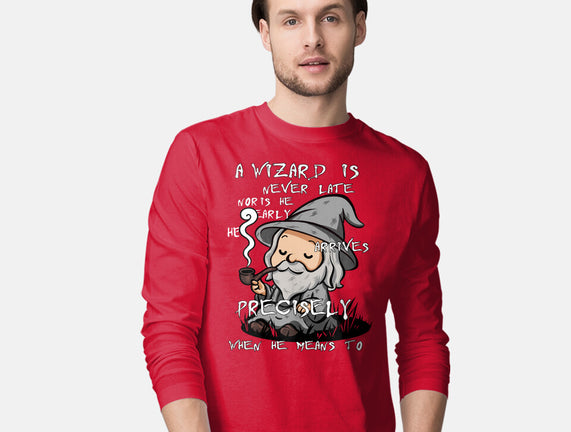 A Wizard Is Never Late