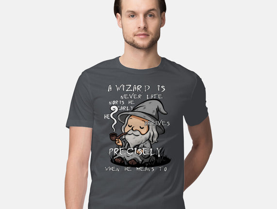 A Wizard Is Never Late