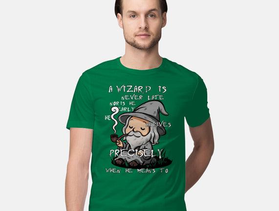 A Wizard Is Never Late