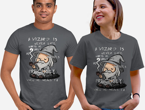 A Wizard Is Never Late