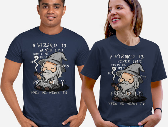 A Wizard Is Never Late