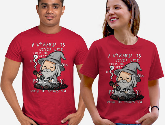 A Wizard Is Never Late