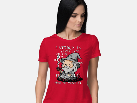 A Wizard Is Never Late