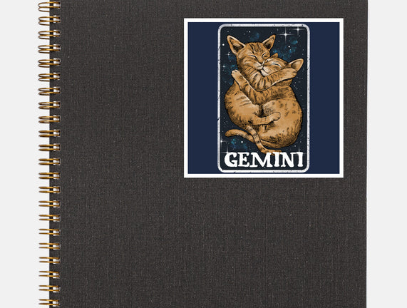 Gemini Cat