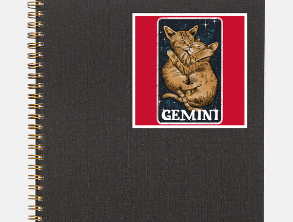Gemini Cat