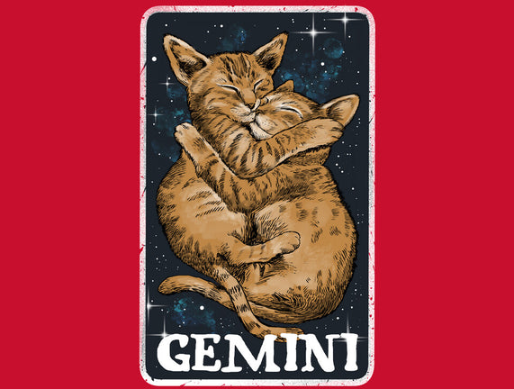 Gemini Cat