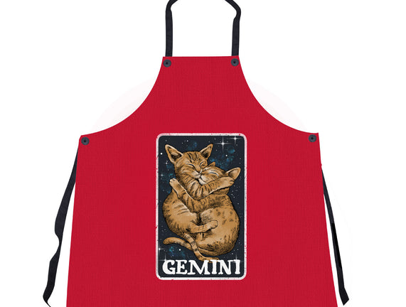 Gemini Cat