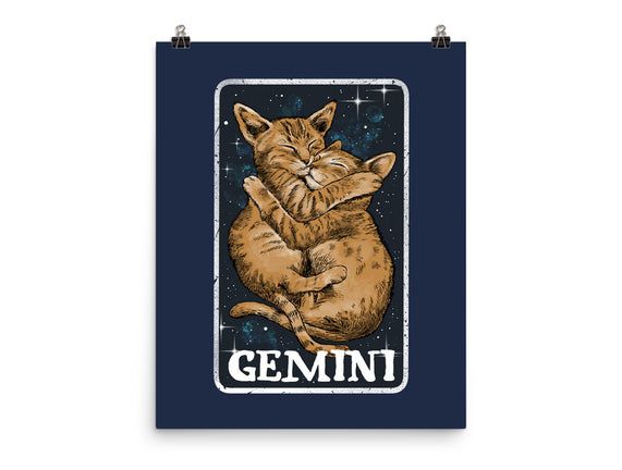 Gemini Cat