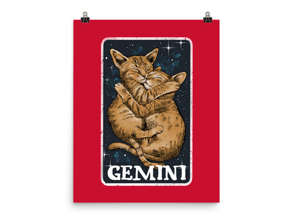 Gemini Cat