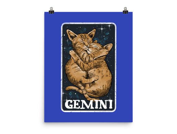 Gemini Cat