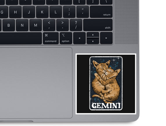 Gemini Cat