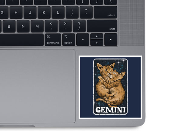 Gemini Cat