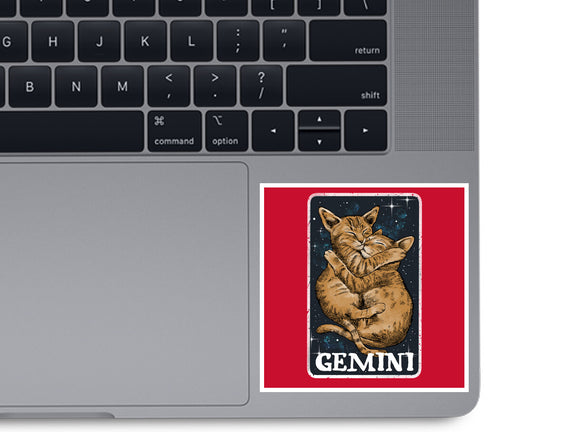 Gemini Cat