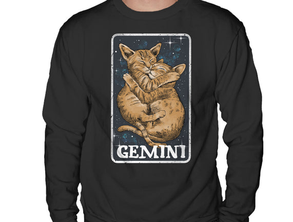 Gemini Cat