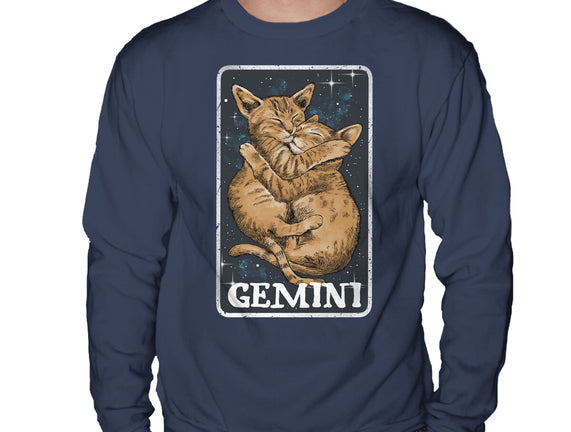 Gemini Cat