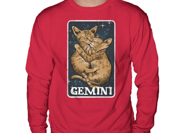 Gemini Cat