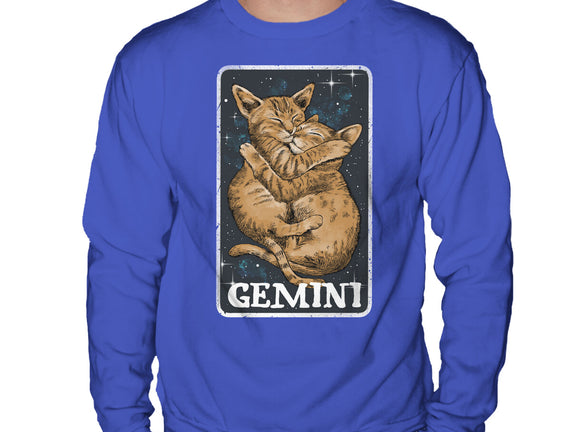 Gemini Cat