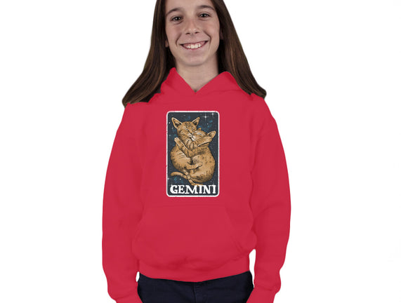 Gemini Cat