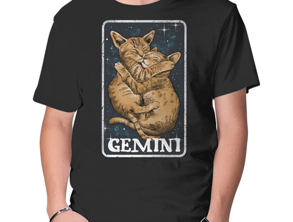 Gemini Cat