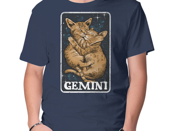 Gemini Cat