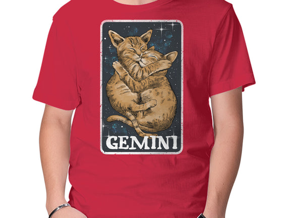 Gemini Cat