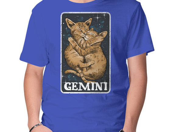 Gemini Cat