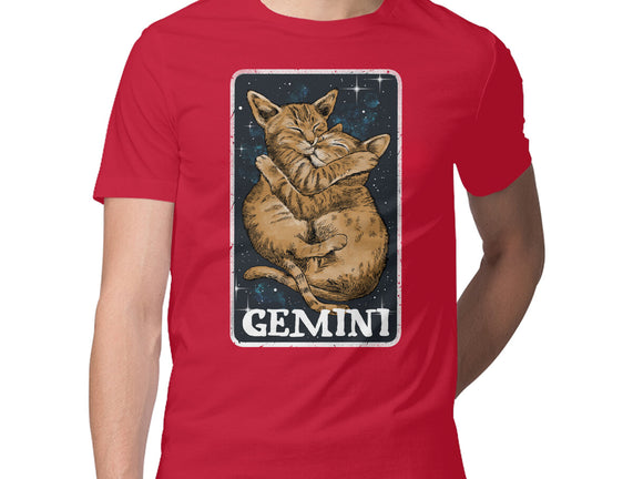 Gemini Cat
