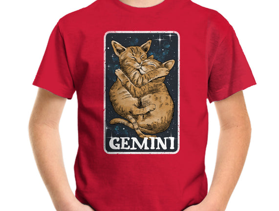 Gemini Cat