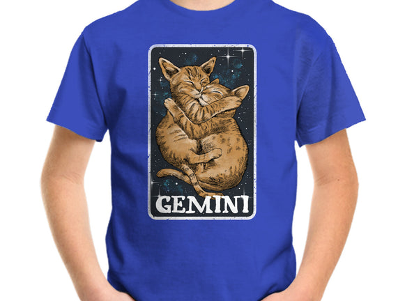 Gemini Cat