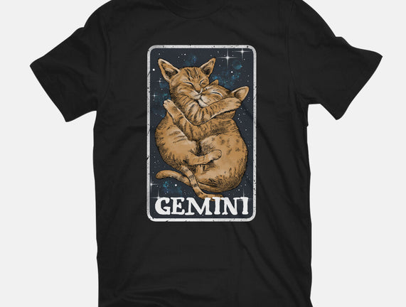 Gemini Cat