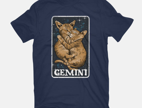 Gemini Cat