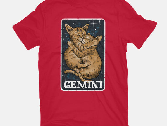 Gemini Cat