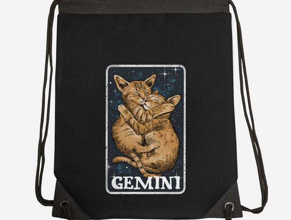 Gemini Cat
