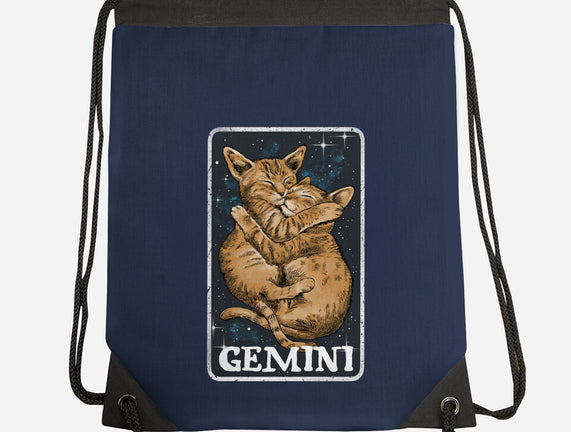 Gemini Cat