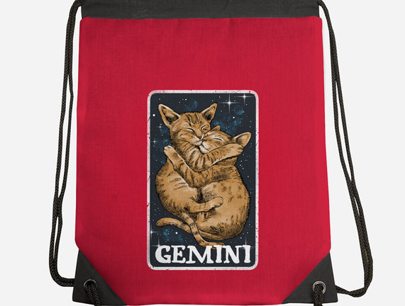 Gemini Cat