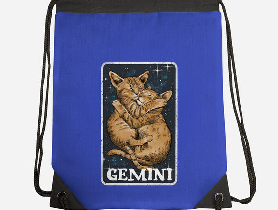 Gemini Cat