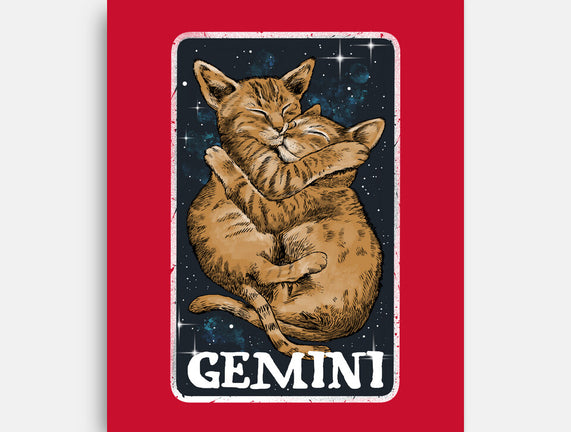 Gemini Cat