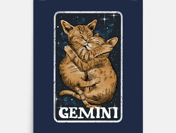 Gemini Cat