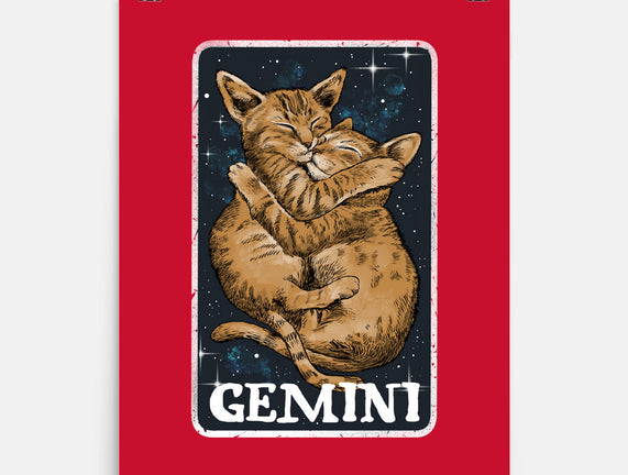 Gemini Cat
