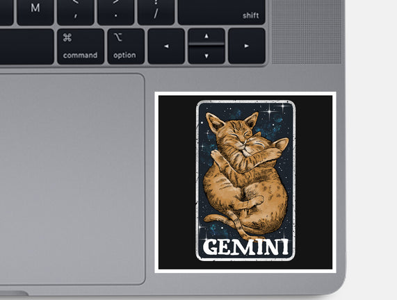 Gemini Cat