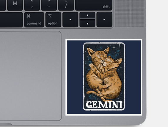 Gemini Cat